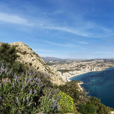 Hipocampos Rent * Calpe